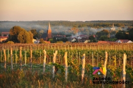 Działka budowlana o pow. 2,26 ha w miejscowości Przytok na sprzedaż!!!